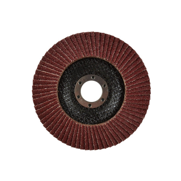 Пелюстковий диск 125 мм P40(10/200)