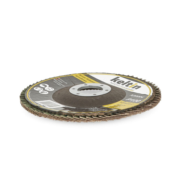 Пелюстковий диск 125 мм P100 (10/200)